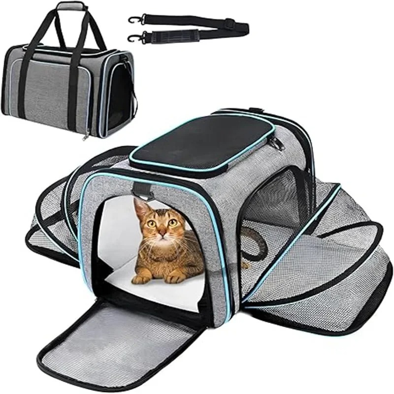 Portable Breathable Foldable P - Foldable Backpack Small 评论和价格