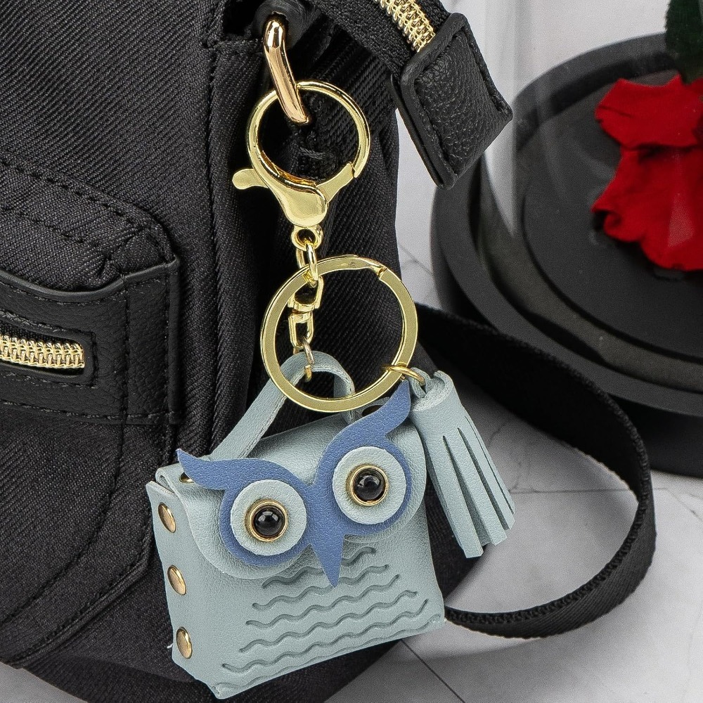 Mini Coin Purse Keychain Cute  - Backpack Insert Organizer 评论和价格